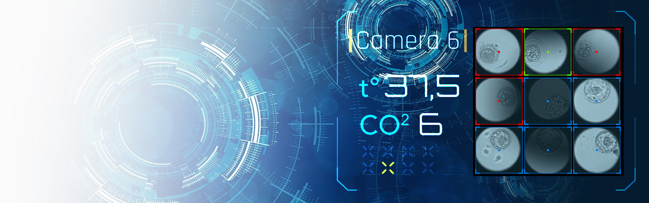 ВЕСТТРЭЙД ЛТД, ООО