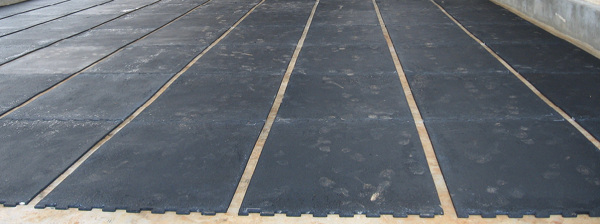 Animat a North West Rubber company