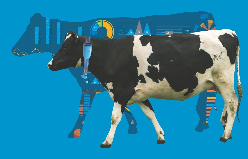 Afimilk Agricultural Cooperative Ltd.